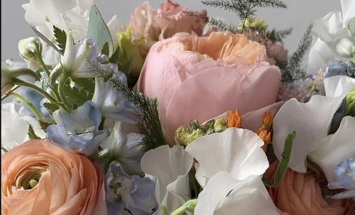 056b8ed0-5204-4af4-b96a-42f8ba6c56ce